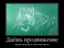 Демотиватор (Фотографии)